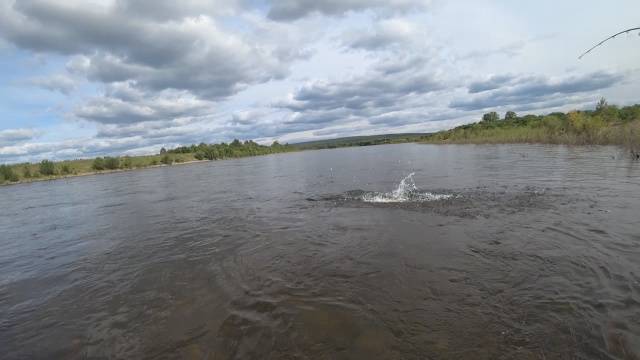 Рыбалка на реке Витим. смотреть онлайн