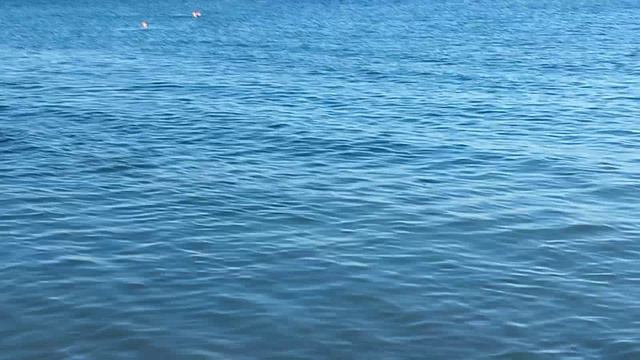 Лазаревское утро 29 сентября смотреть онлайн