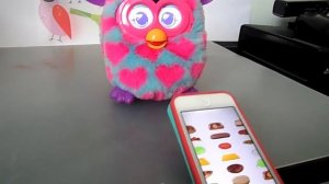 Furby - Интерактивная игрушка для детей и взрослых. Ферби. Вики Сара