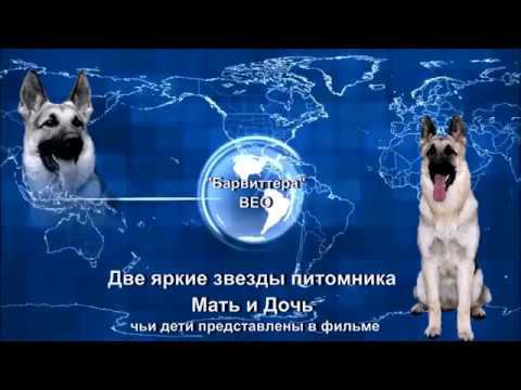 ДЕТИ Барталины участники ПРК и конкурсов. смотреть онлайн