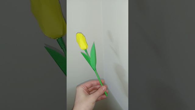 Жёлтый тюльпан смотреть онлайн