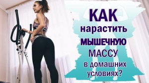 Как НАРАСТИТЬ МЫШЕЧНУЮ МАССУ девушке | Тренировка для НАБОРА массы ДЕВУШКЕ в домашних условиях