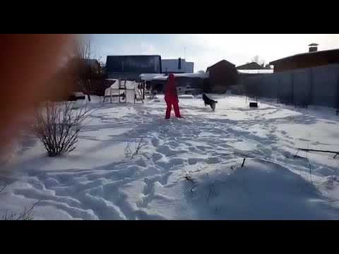 Деть.(Жоксен и Иберия) смотреть онлайн