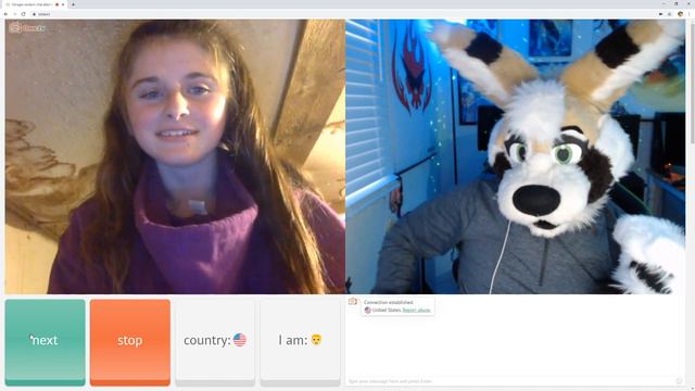 Furry Video Chats With Random Strangers