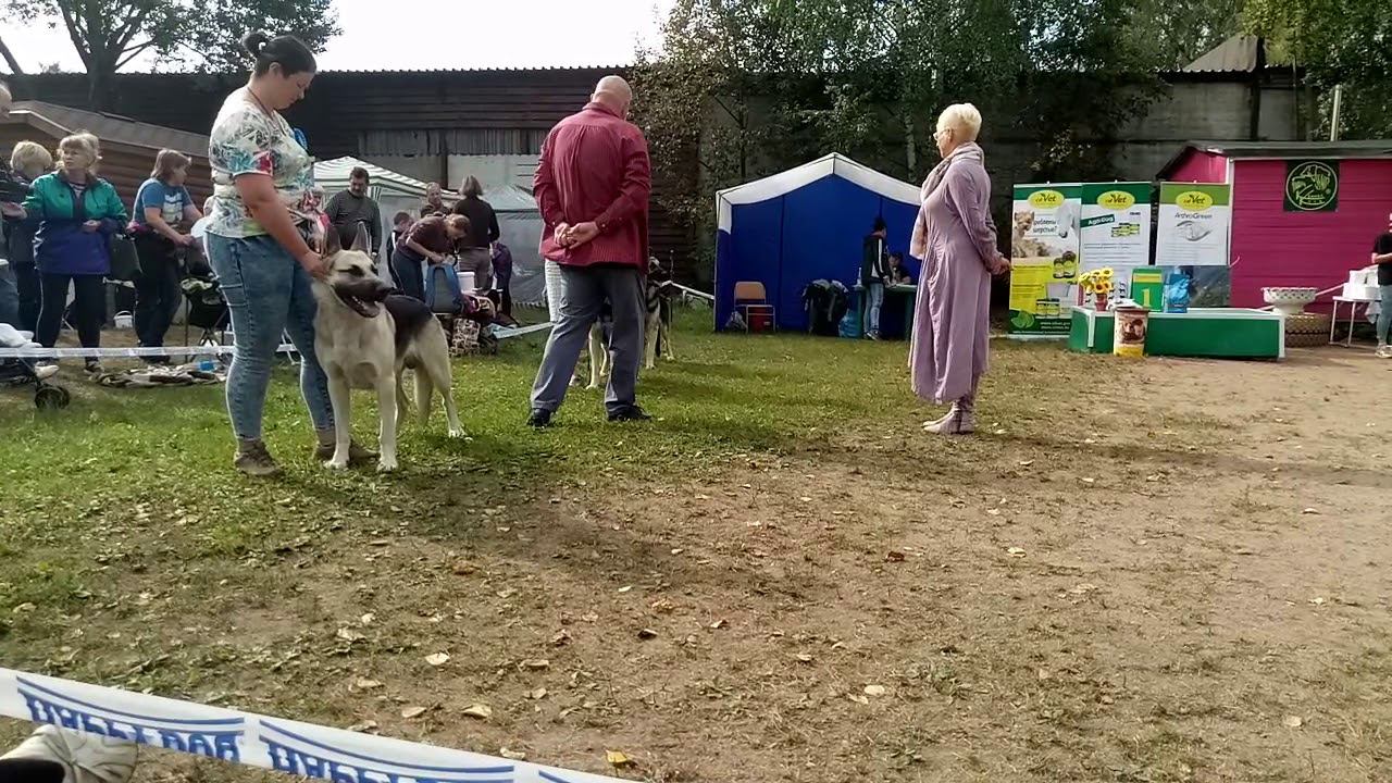 Сравнение на ЛК смотреть онлайн