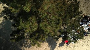 Ресторан Балт