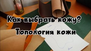 Кожевенное дело | С чего начать? | Как выбрать кожу для первого изделия? | Топология шкуры | ЧАСТЬ 1