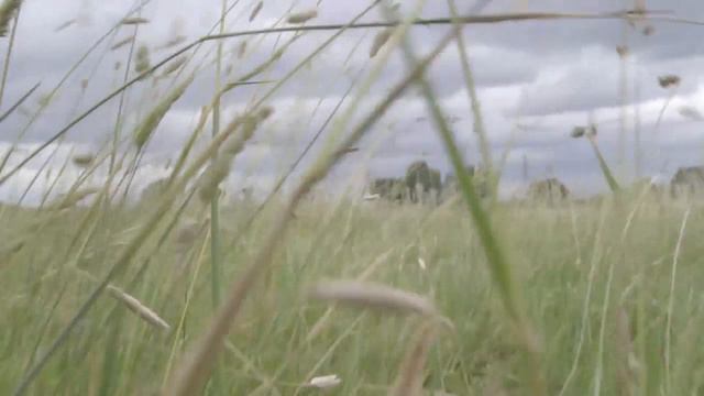 B1_PLUS_U1_Finding yourself through poetry_GREAT LEARNERS смотреть онлайн