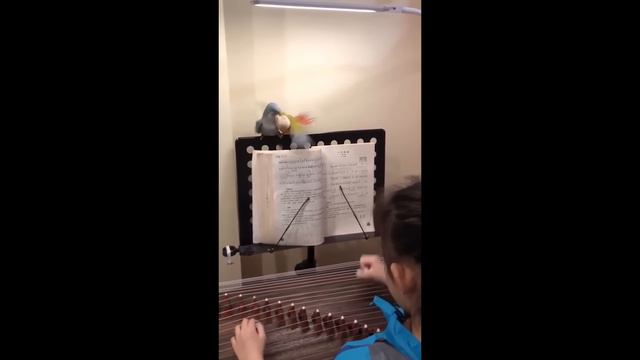 UNUSUAL MEMES COMPILATION V257 смотреть онлайн