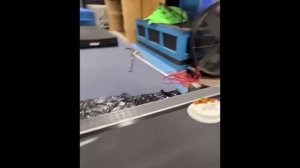 UNUSUAL MEMES COMPILATION V259