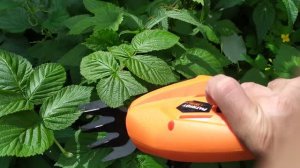 Ножницы - кусторез заменил аккумулятор. Проверяю как работают