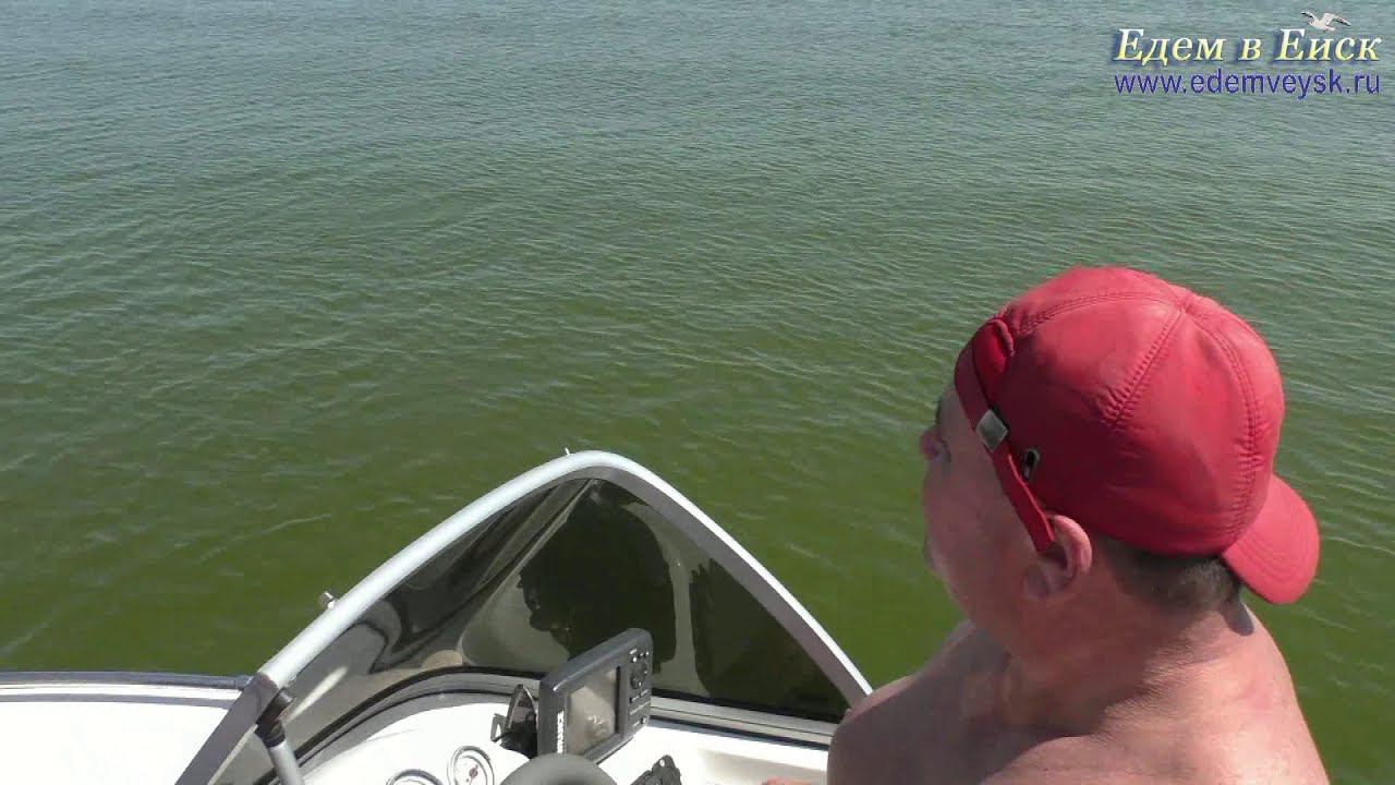 Ейск: экскурсия на Птичий остров! смотреть онлайн