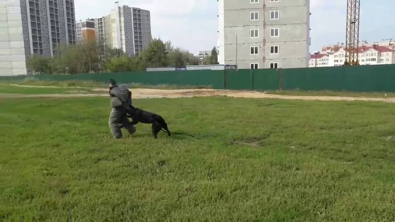 Семинар Жоксен смотреть онлайн