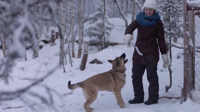 Ездовой спорт Сюжет 6 смотреть онлайн