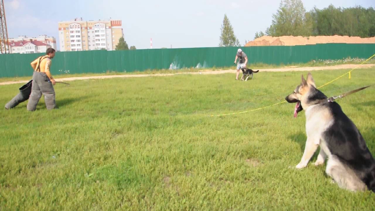 DSC 0003 смотреть онлайн