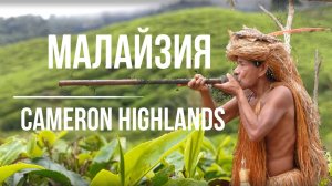МАЛАЙЗИЯ. ПОСЛЕДНИЕ АБОРИГЕНЫ.