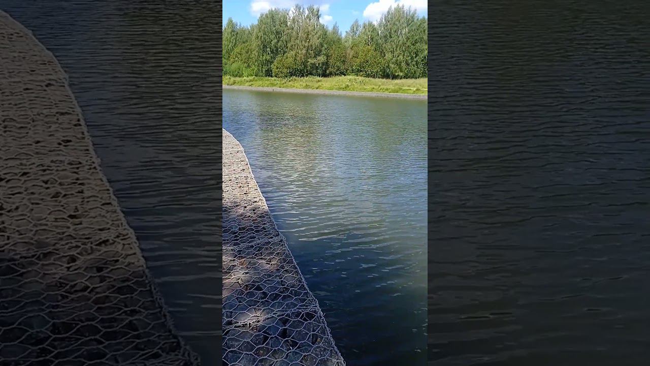 Прогулка по Зеленограду смотреть онлайн