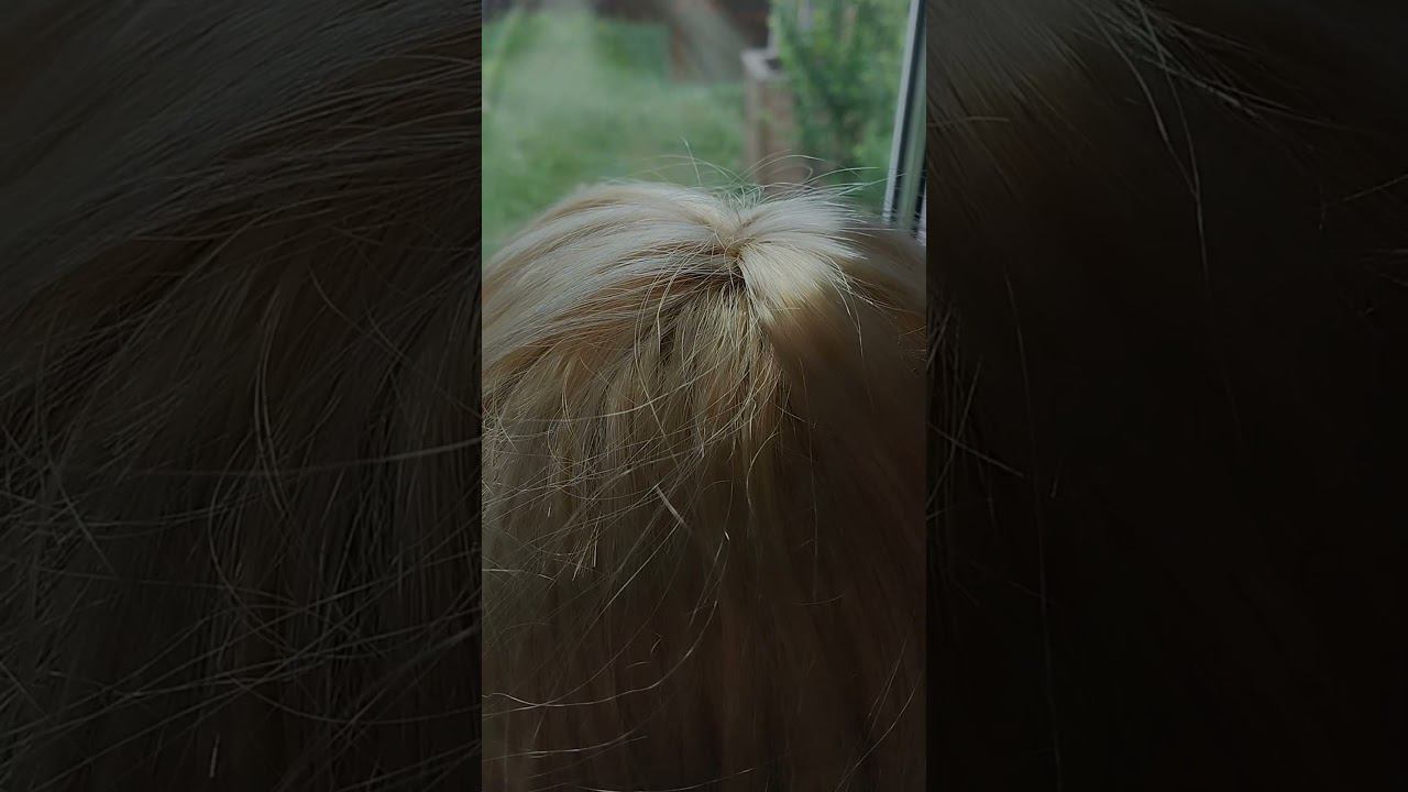 ❤️ Хорошо на даче летом! Если есть мощный интернет от @internet21 #интернетнадачу #волга #дача смотреть онлайн