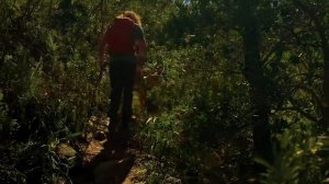 Company First Ascent