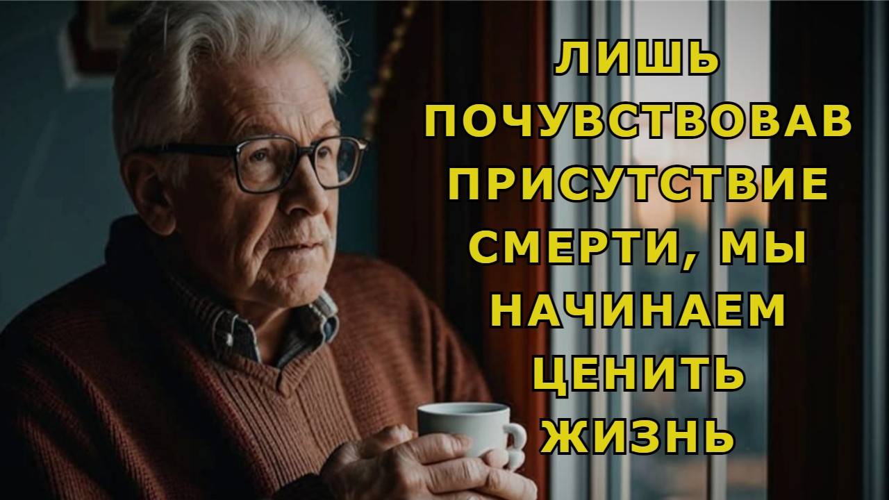 "Муха". Евгений Чеширко. смотреть онлайн