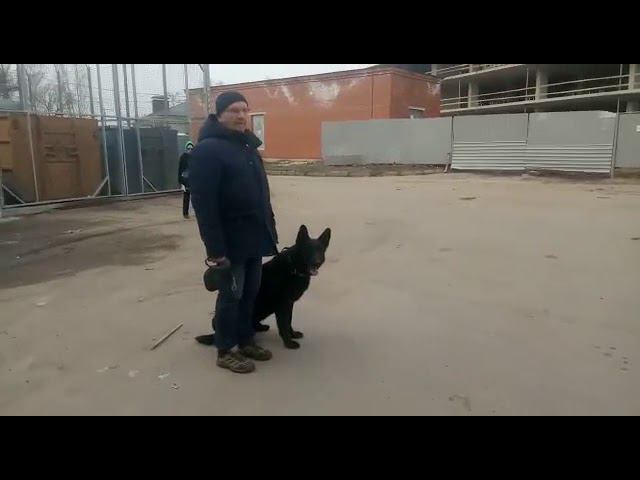 ПРК М.В.Денди смотреть онлайн