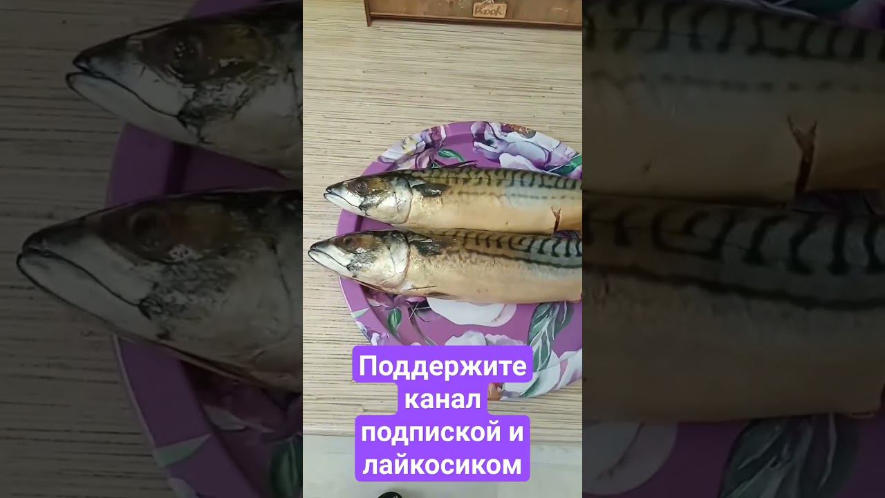 Малосоленая скумбрия смотреть онлайн