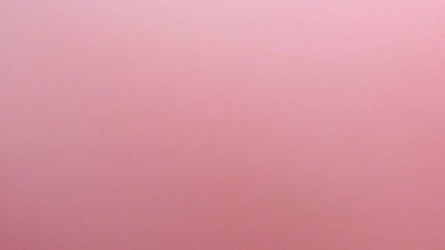 Мы следим за бездомной собакой Часть 2 смотреть онлайн