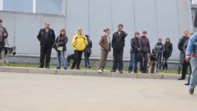 DSC_0008.AVI Федя (Чуб.Череповец) смотреть онлайн