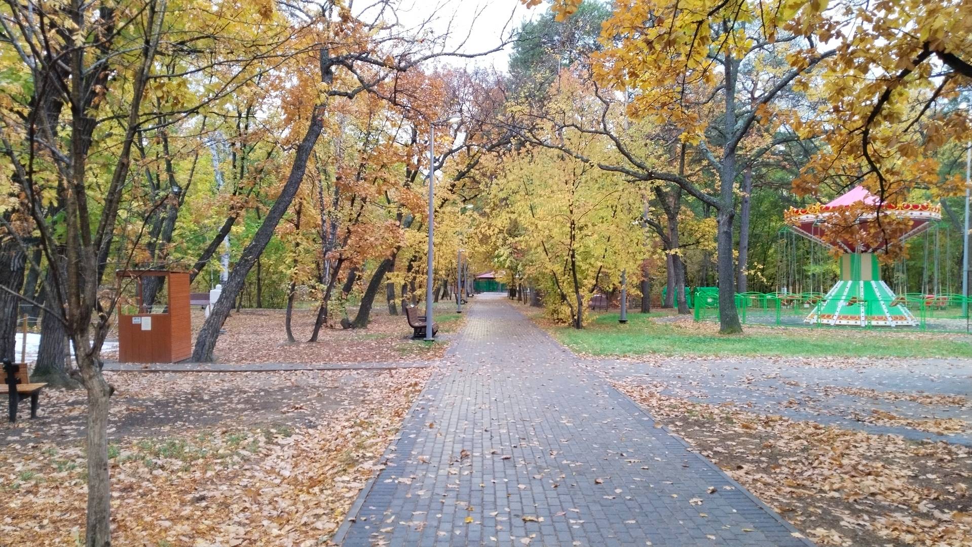 Осень в Первомайском парке смотреть онлайн