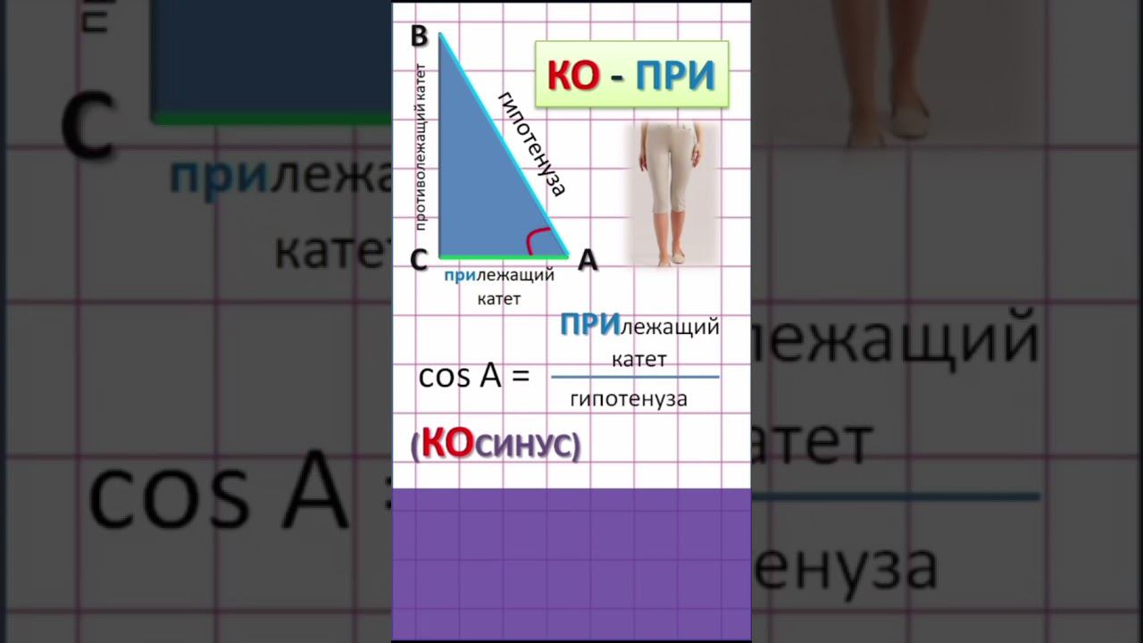 Лёгкий способ запомнить, что такое синус, косинус, тангенс, котангенс смотреть онлайн