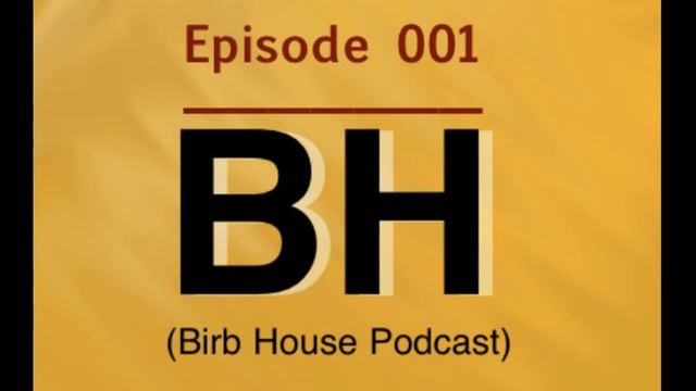 (Sonic movie, Detective Pikachu, Borderlands 3) - Bird House Podcast ep001 смотреть онлайн
