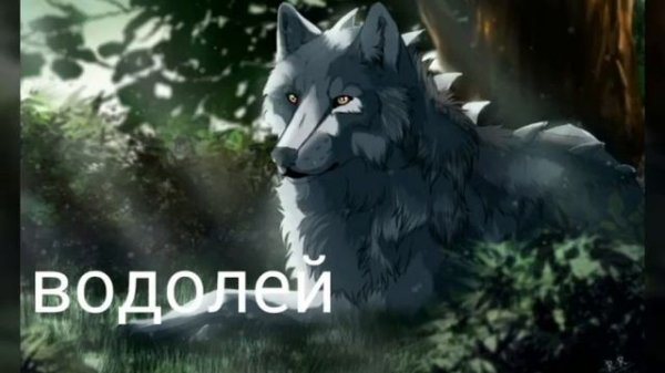 Какой ты волк по знаку зодиака