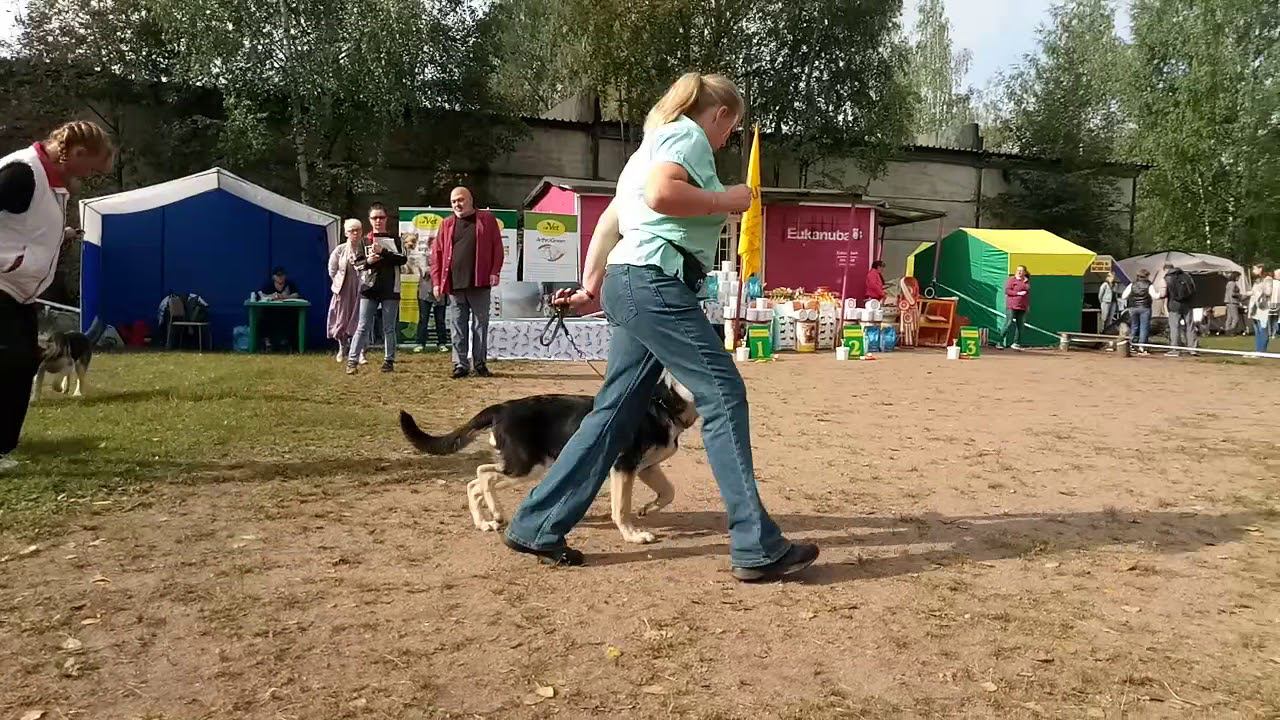 Чк..2018 смотреть онлайн