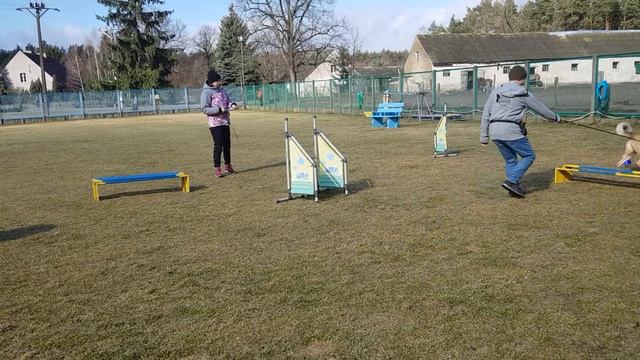 Nosework, zawody drużynowe, ring 6, Annówka 09.03.2019, Marcin i Fuks смотреть онлайн