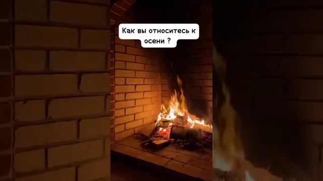 как вы относитесь к осени ? 🍂