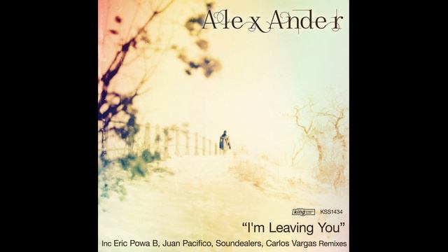 Alex Ander - I'm Leaving You (Original Mix) смотреть онлайн