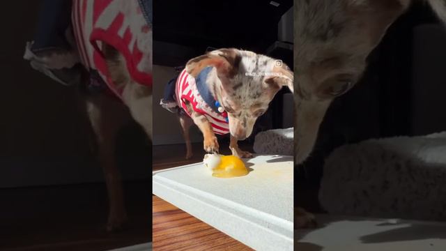 прикол смотреть онлайн