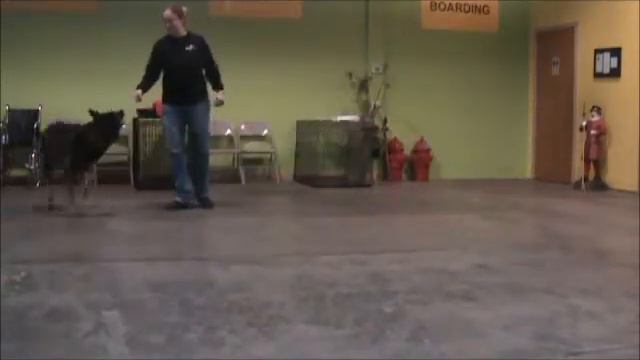 Czar Heeling смотреть онлайн