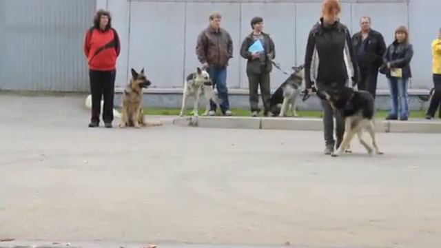 КИР КЛАЙД рядовось Череповец смотреть онлайн
