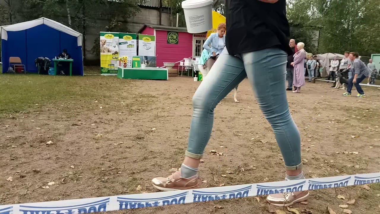 Суки кл промежуточный смотреть онлайн