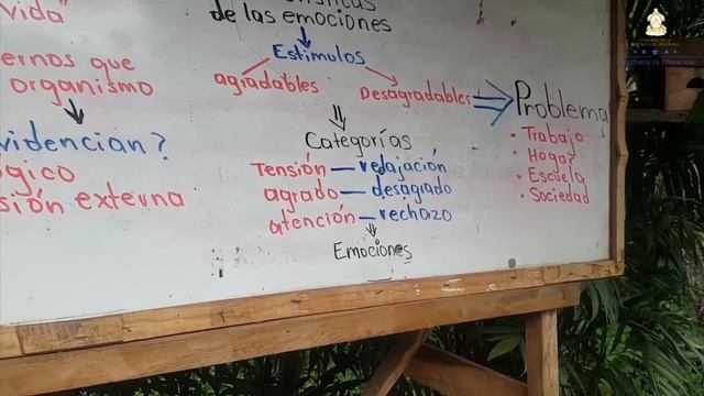 Las emociones y los problemas – Cuarto Grado – Ciencias Sociales смотреть онлайн