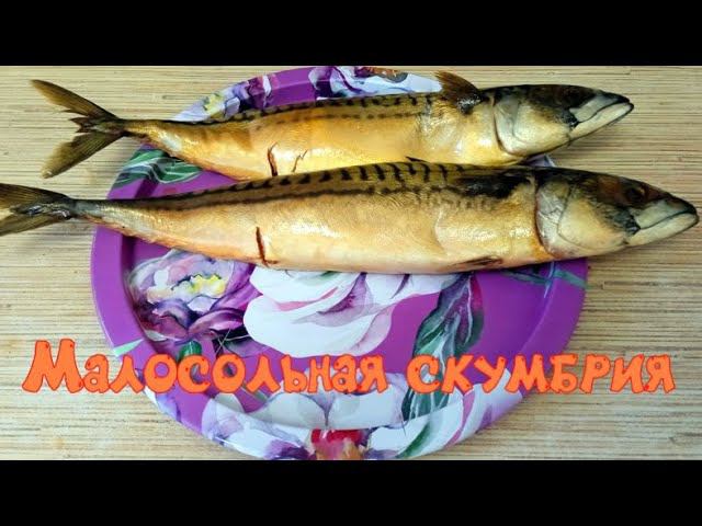 Скумбрия малосольная в луковой шелухе и чае. простой рецепт смотреть онлайн