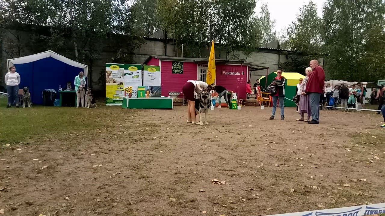 Фиелисс Бугульма смотреть онлайн