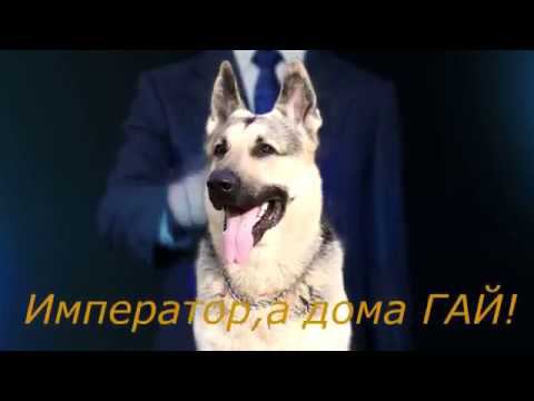 Барвиттера Император смотреть онлайн