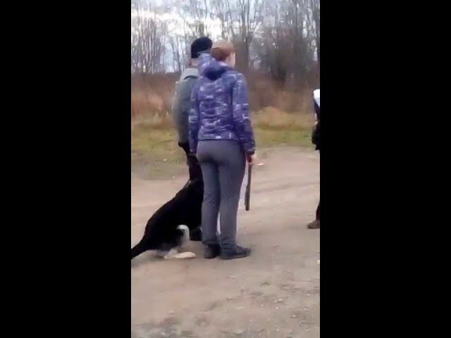 Верный Друг Арекс (другой ракурс) смотреть онлайн