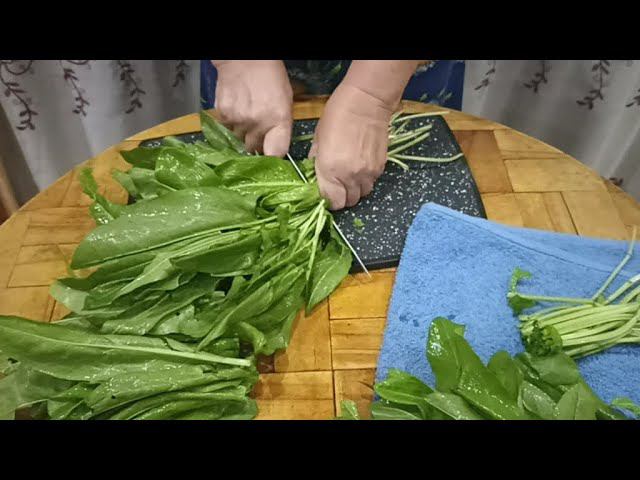 Наталья Лях. Сад, огород и многое другое