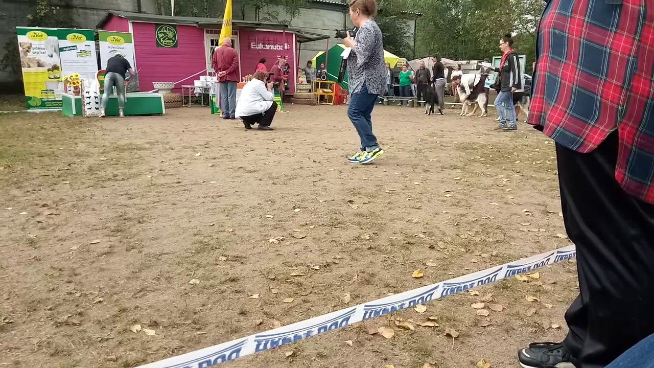 Сравнение на ЛПП смотреть онлайн
