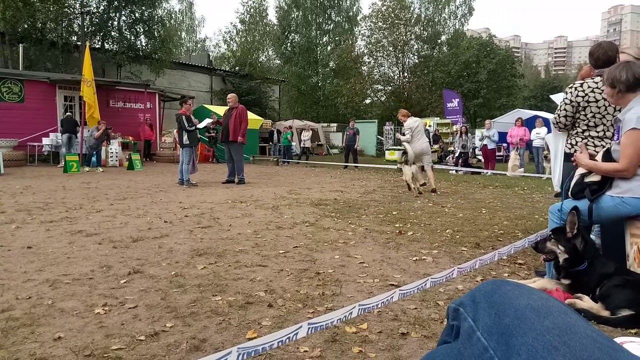 Верный Друг ГлориЯ смотреть онлайн
