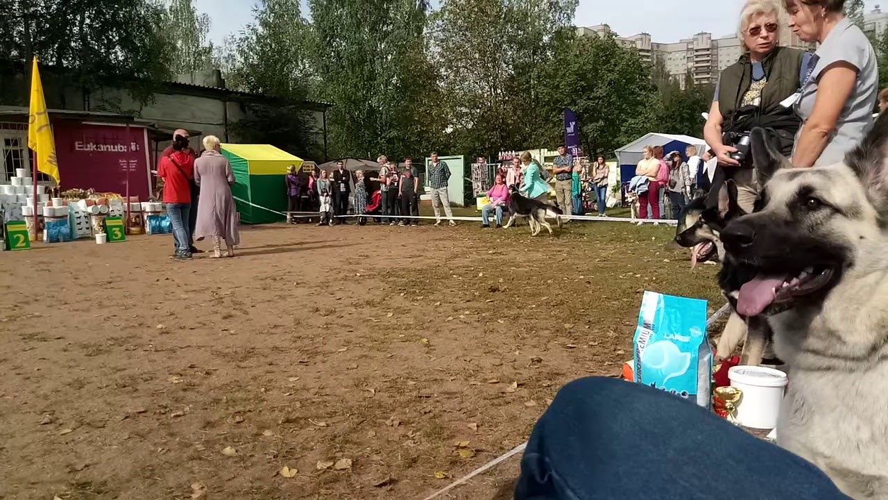9 сентября 2018 г. смотреть онлайн