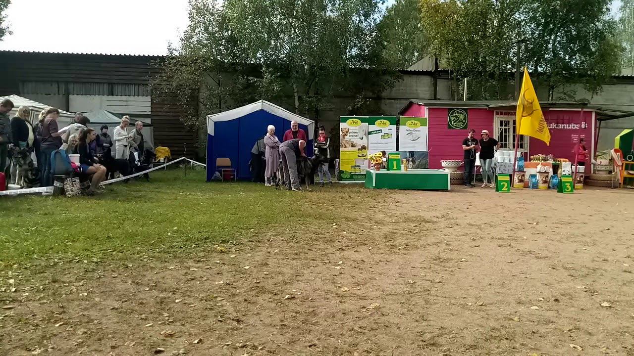 Кл.Рабочий Джебе Нойон смотреть онлайн
